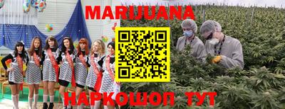 прущие грибы Апрелевка