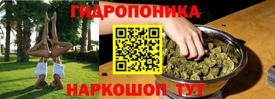 прущие грибы Апрелевка