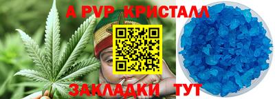 прущие грибы Апрелевка